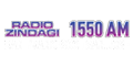 Radio zindagi logo